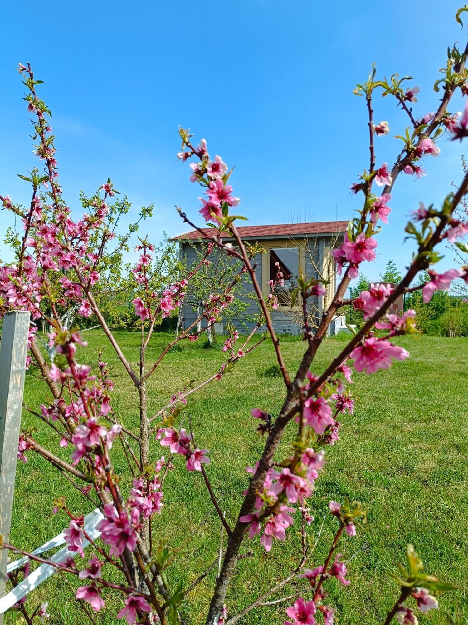 Vila Namelis Karkleje Exteriér fotografie