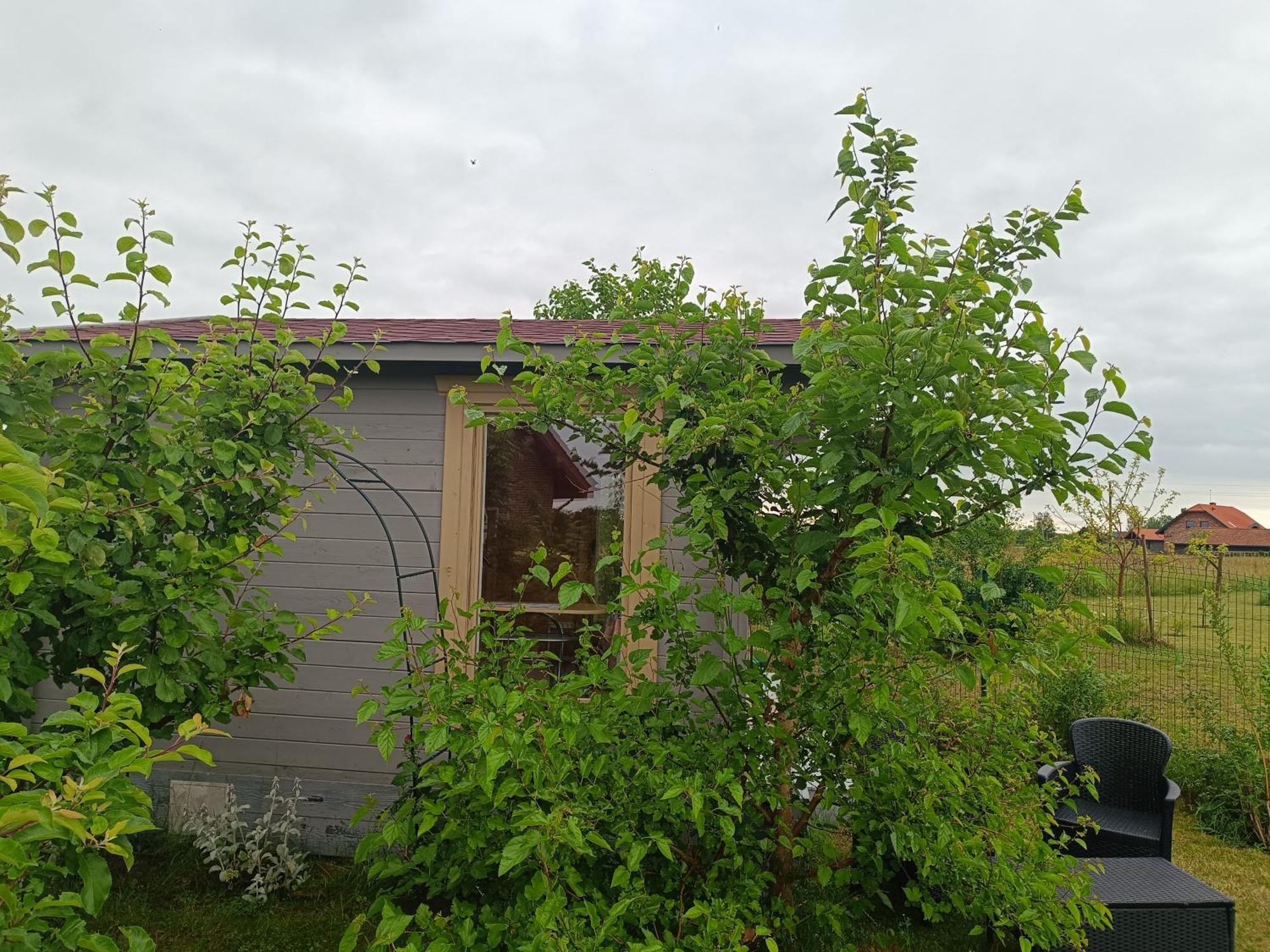 Vila Namelis Karkleje Exteriér fotografie
